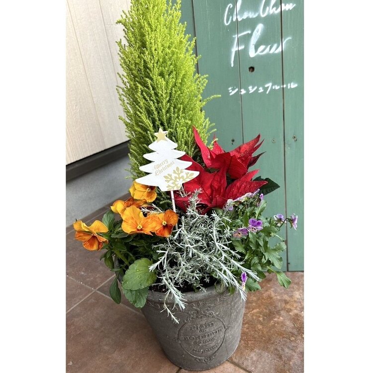 クリスマスアレンジメント